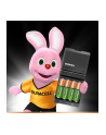 Duracell CEF27 + 2 x AA 1300 mAh + 2 x AAA 750 mAh (394036529) - nr 1