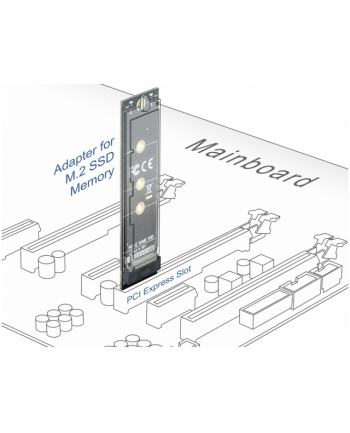 Delock karta PCI Express x1 - M.2 Key M wewnętrzna (64105)