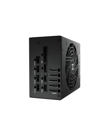 Fortron Hydro Pro 850W 80 Plus Platinum (PPA8502200)