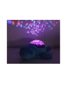 Jamara Dioda Led Światła Gwiazd Dream Y S Child Ropucha - nr 9