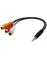 Lindy AV Adapter Cable - Stereo & Composite Video (35539) - nr 4