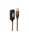 Przedłużacz USB 2.0 A - A Lindy 20m 42631 - nr 1