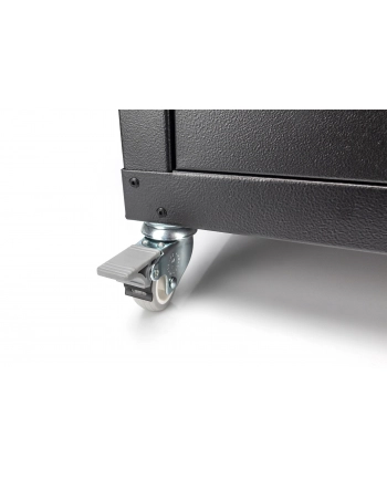 Digitus (DN-19 CASTOR-WM) nr 1