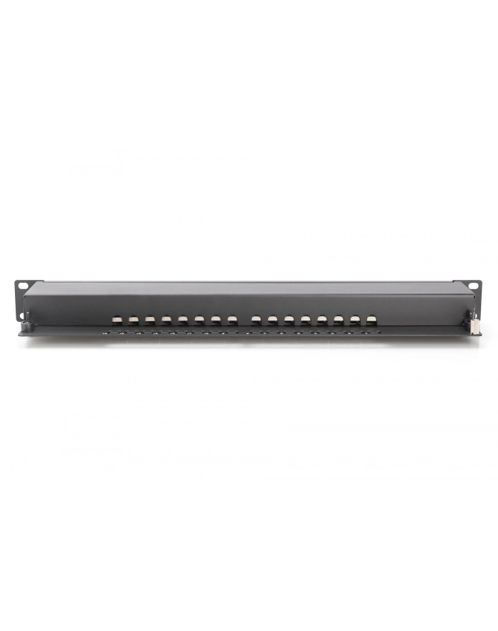 DIGITUS  PROFESSIONAL (DN91616SB) główny