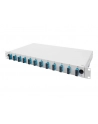 Assmann Glasfaser SpleißBox 1He (DN96200QL) - nr 15