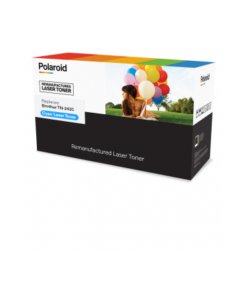 POLAROID ENVIRONMENTAL BUSINESS PRODUCTS -