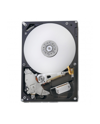 Fujitsu - Hard Drive 2 Tb Sata 6Gb/S Dysk Twardy 7200 Rpm Sata-600 Cache (S26462F3500L200)