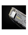 Intenso SSD 250GB Premium M.2 PCIe - nr 14