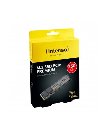 Intenso SSD 250GB Premium M.2 PCIe nr 1