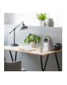 Steba mini air washer AW 6m Kolor: BIAŁY - nr 15