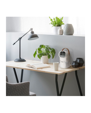 Steba mini air washer AW 6m Kolor: BIAŁY