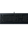 Razer Cynosa Lite - RZ03-02740800-R3G1 DE ( wersja niemiecka ) - nr 1