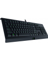 Razer Cynosa Lite - RZ03-02740800-R3G1 DE ( wersja niemiecka ) - nr 2