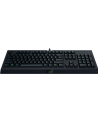 Razer Cynosa Lite - RZ03-02740800-R3G1 DE ( wersja niemiecka ) - nr 5