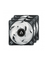 Arctic P12 PWM PST A-RGB 3er 120x120x25 - ACFAN00232A - nr 4