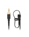 Rode Microphones Lavalier II - LAVALIERII - nr 24