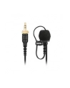 Rode Microphones Lavalier II - LAVALIERII - nr 42