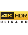 DeLOCK DP 1.4 St> HDMI-A 19Pin female - nr 9