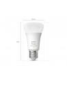 Philips Hue E27 double pack 2x800lm 75W - White ' Col. Amb. - nr 11