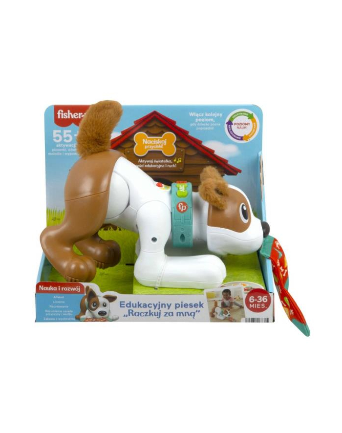 Fisher-Price Piesek edukacyjny Raczkuj ze mną HHH15 MATTEL główny