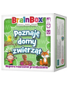 BrainBox - Poznaję domy zwierząt gra REBEL - nr 1