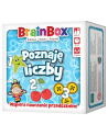 BrainBox - Poznaję liczby gra REBEL - nr 1