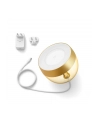 PHILIPS HUE White and color ambiance Iris złota - nr 19