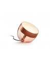 PHILIPS HUE White and color ambiance Iris miedziany - nr 10