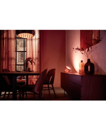 PHILIPS HUE White and color ambiance Iris miedziany nr 1