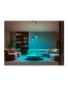 PHILIPS HUE White and color ambiance 1 szt. E27 1100lm - nr 32