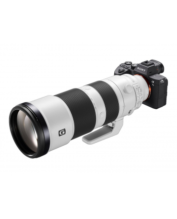 Sony FE 200-600mm F5.6-6.3 G OSS (SEL200600G)
