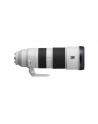 Sony FE 200-600mm F5.6-6.3 G OSS (SEL200600G) - nr 3