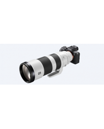 Sony FE 200-600mm F5.6-6.3 G OSS (SEL200600G)