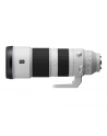Sony FE 200-600mm F5.6-6.3 G OSS (SEL200600G) - nr 10
