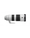 Sony FE 200-600mm F5.6-6.3 G OSS (SEL200600G) - nr 4