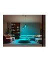 PHILIPS HUE White and color ambiance 1 szt. E27 1100lm - nr 19