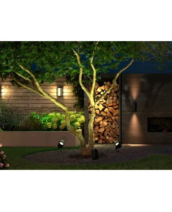 PHILIPS HUE White and color ambiance Lily czarny 1746230P7 nr 2
