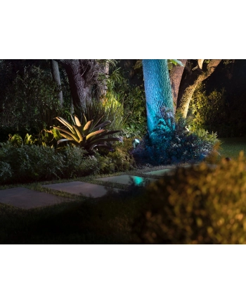 PHILIPS HUE White and color ambiance Lily czarny 1746230P7 nr 1