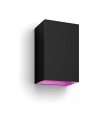 PHILIPS HUE White and color ambiance Resonate czarny 1746430P7 - nr 29