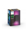 PHILIPS HUE White and color ambiance Resonate czarny 1746430P7 - nr 2