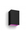 PHILIPS HUE White and color ambiance Resonate czarny 1746430P7 - nr 9