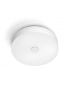 PHILIPS HUE White ambiance Enrave L 33,5W biały - nr 9