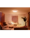 PHILIPS HUE White ambiance Enrave XL 48W biały - nr 6