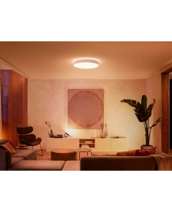 PHILIPS HUE White ambiance Enrave XL 48W biały nr 2