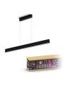 PHILIPS HUE White and color ambiance Ensis czarny 929003052501 - nr 13