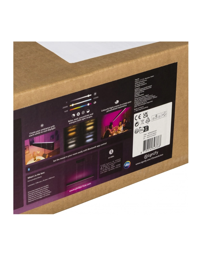 PHILIPS HUE White and color ambiance Ensis czarny 929003052501 główny