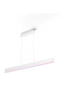 PHILIPS HUE White and color ambiance Ensis biały - nr 21