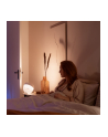 PHILIPS HUE White and color ambiance Iris czarny - nr 17