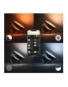 PHILIPS HUE White and color ambiance Iris czarny - nr 29