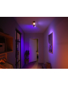 PHILIPS HUE White and color ambiance Centris czarny 915005928101 - nr 10